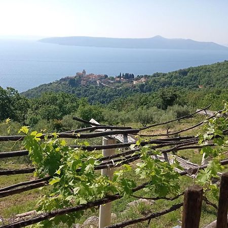 Casa Delle Olive Villa Moscenicka Draga Luaran gambar