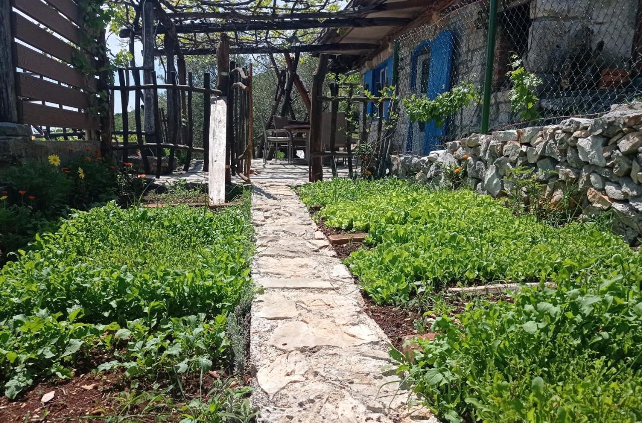 Casa Delle Olive Villa Moscenicka Draga Luaran gambar