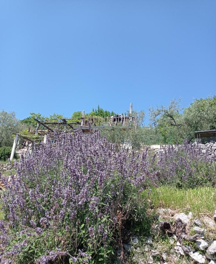 Casa Delle Olive Villa Moscenicka Draga Luaran gambar