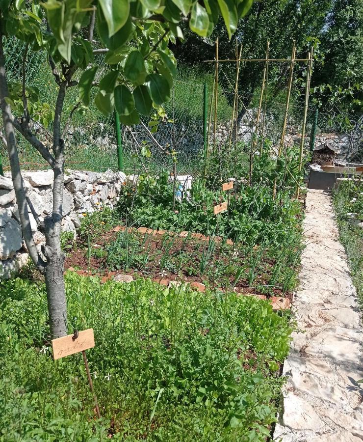 Casa Delle Olive Villa Moscenicka Draga Luaran gambar
