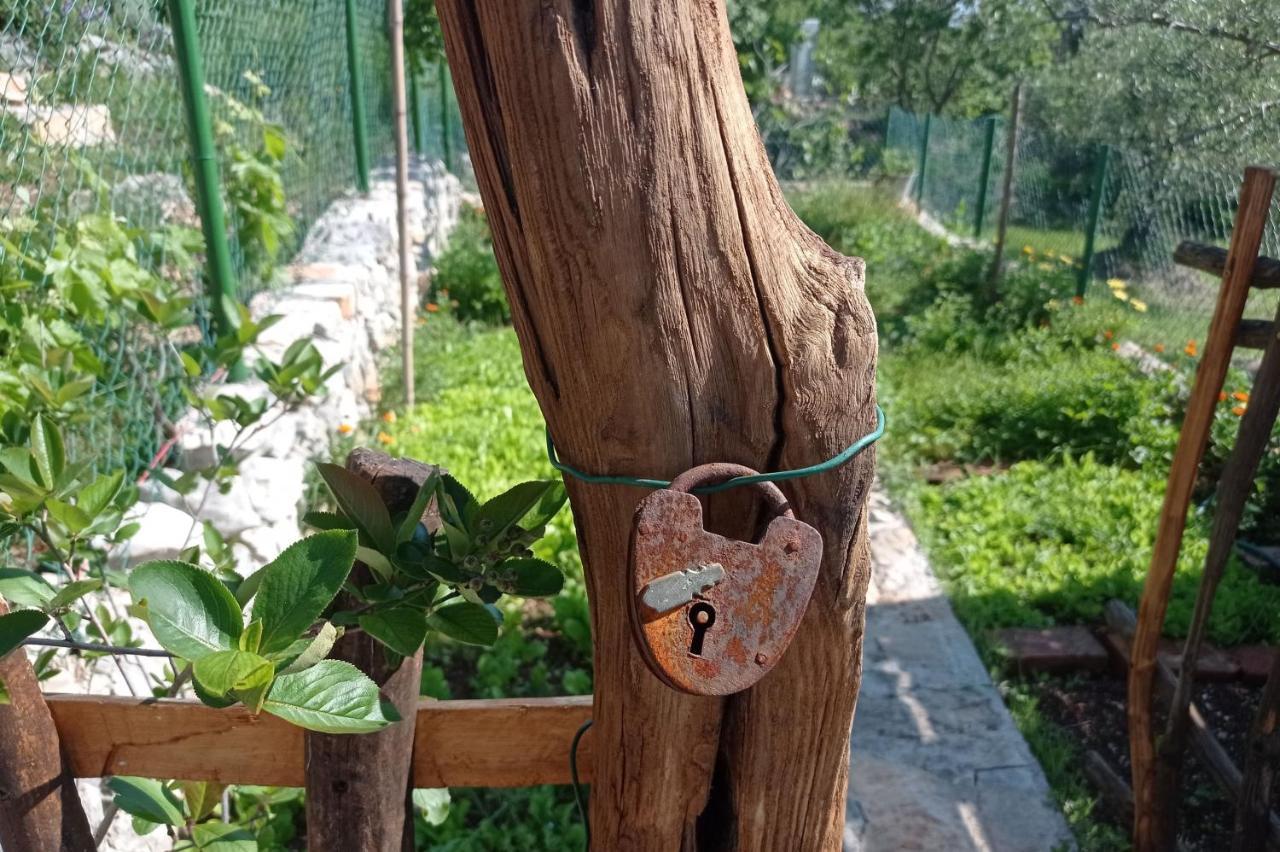 Casa Delle Olive Villa Moscenicka Draga Luaran gambar