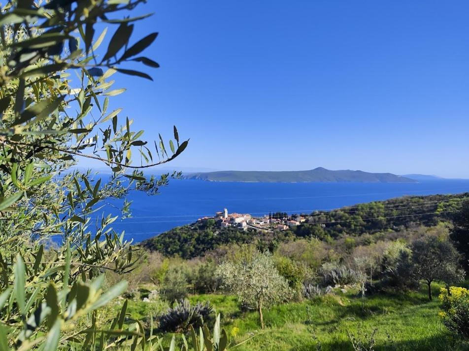 Casa Delle Olive Villa Moscenicka Draga Luaran gambar